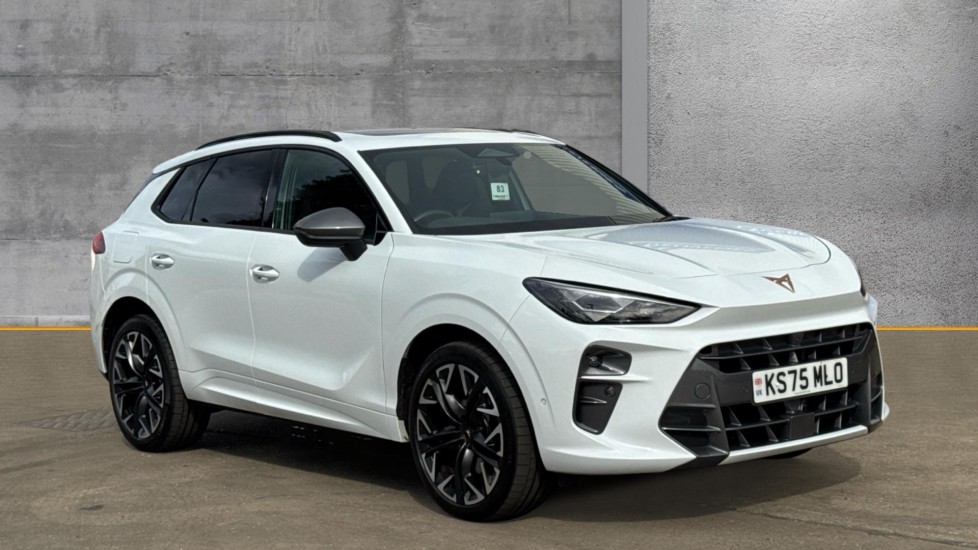 Main listing image - Cupra Terramar