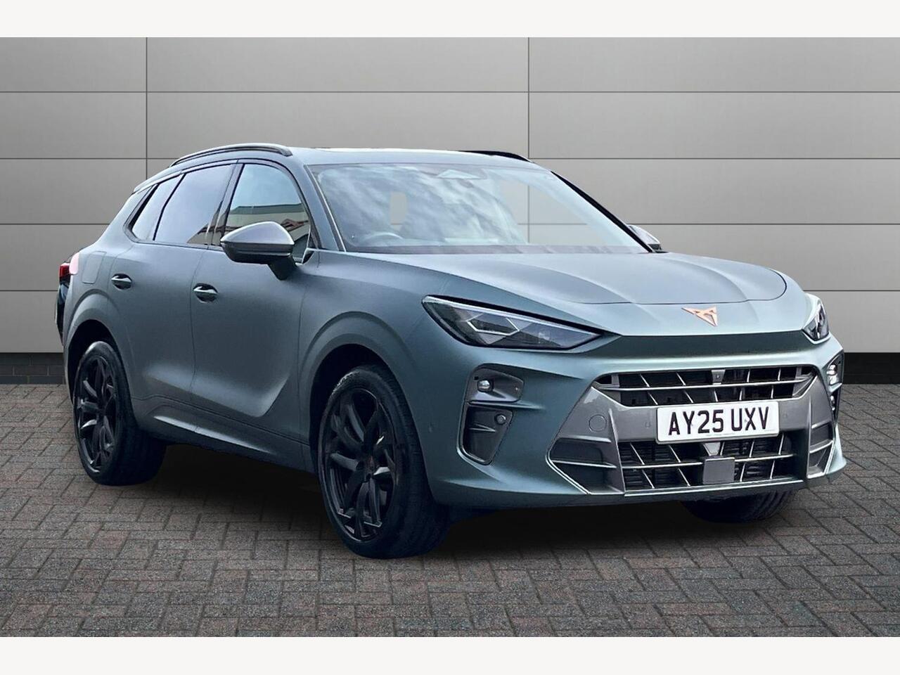 Main listing image - Cupra Terramar