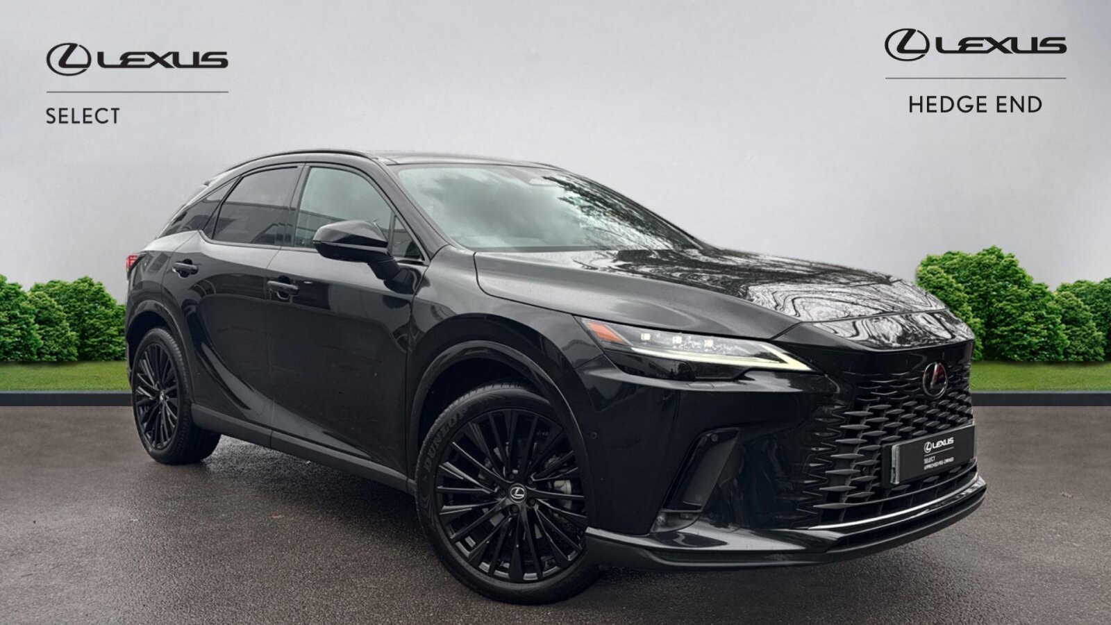 Main listing image - Lexus RX