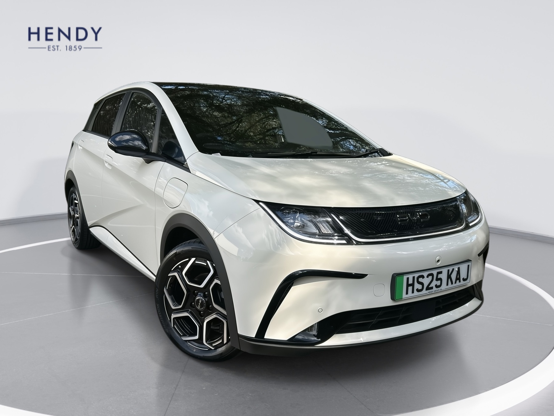 Main listing image - BYD Dolphin