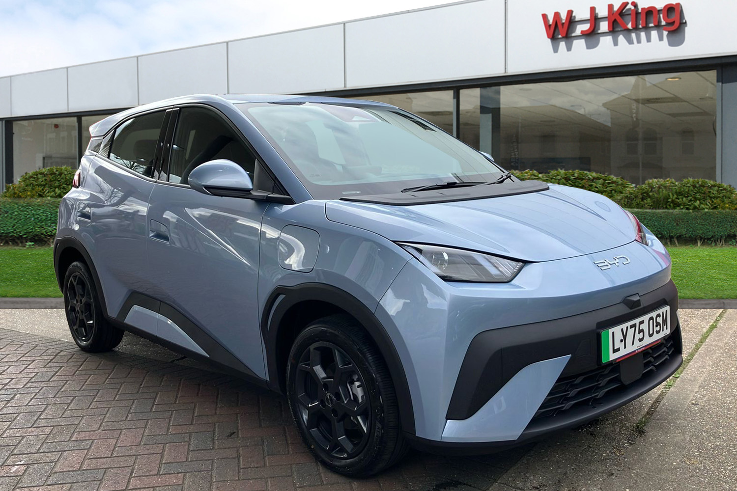 Main listing image - BYD Dolphin Surf