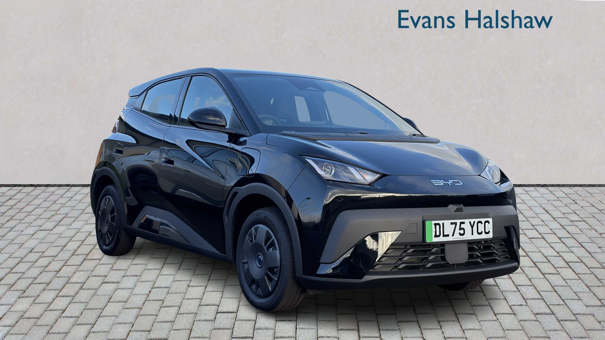 Main listing image - BYD Dolphin Surf