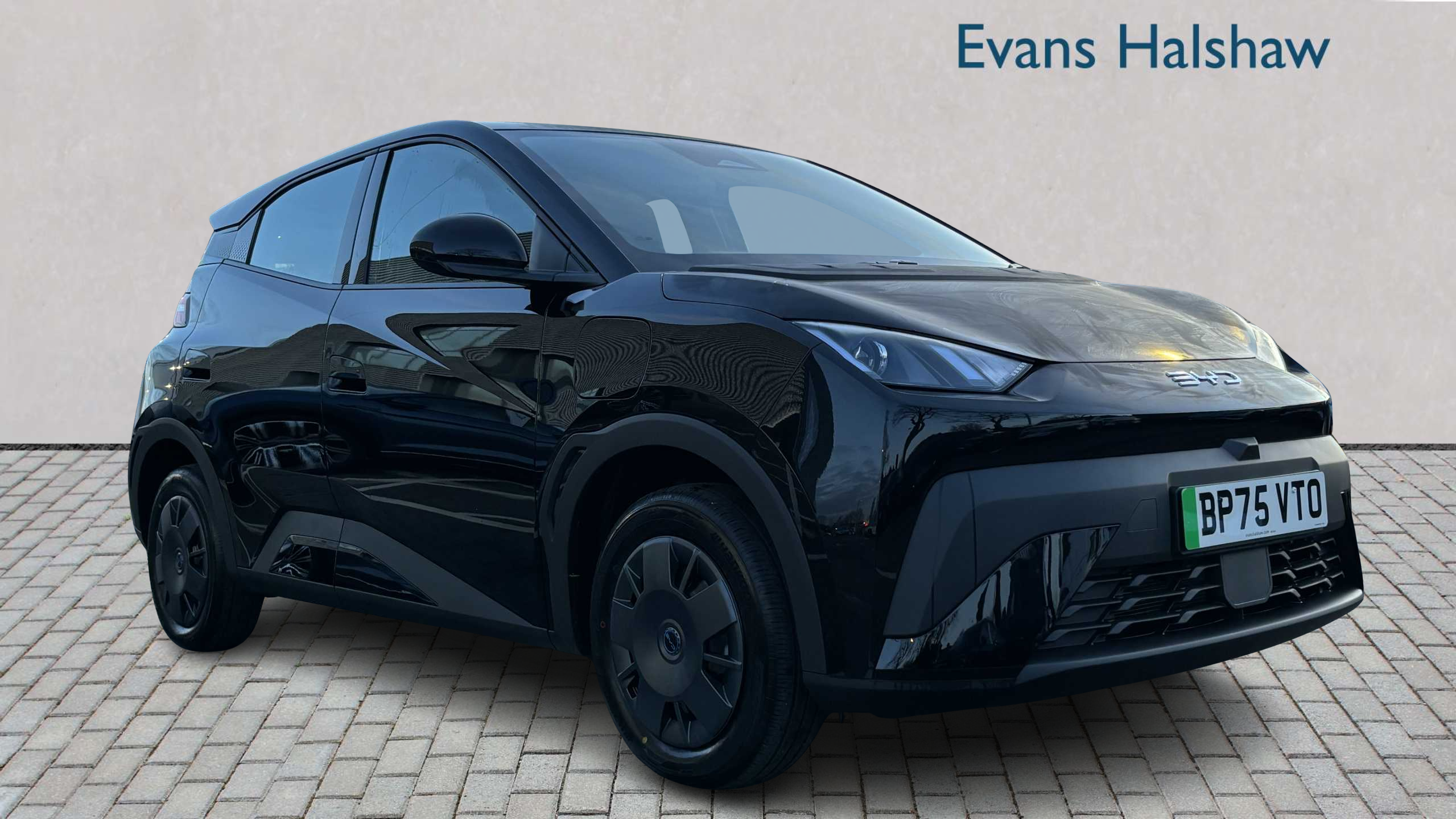 Main listing image - BYD Dolphin Surf