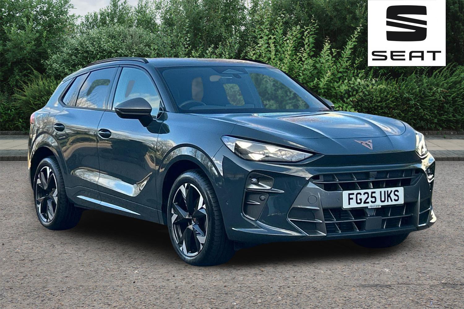 Main listing image - Cupra Terramar