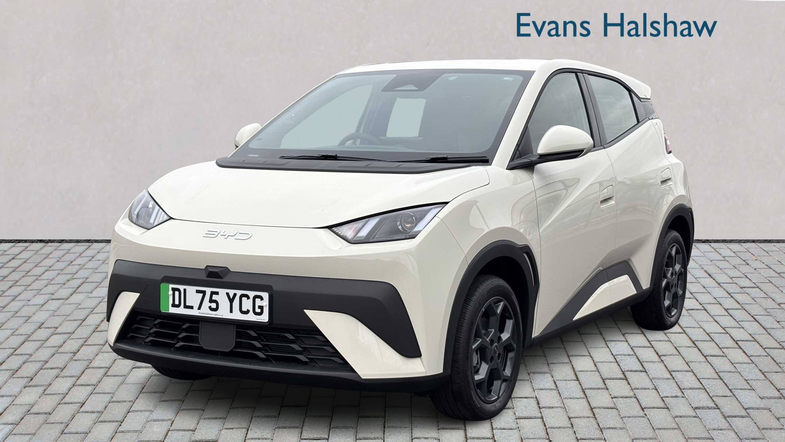 Main listing image - BYD Dolphin Surf