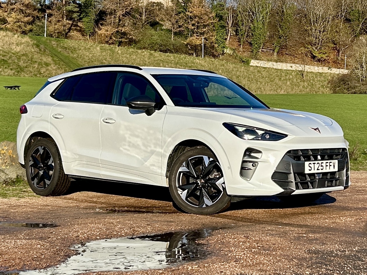 Main listing image - Cupra Terramar