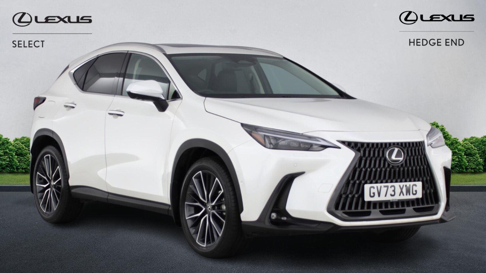 Main listing image - Lexus NX