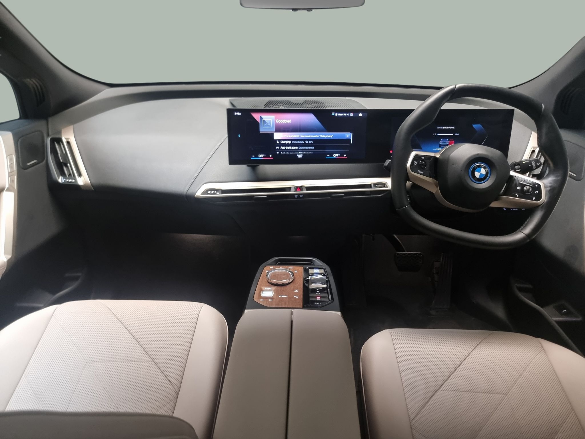 Main listing image - BMW iX