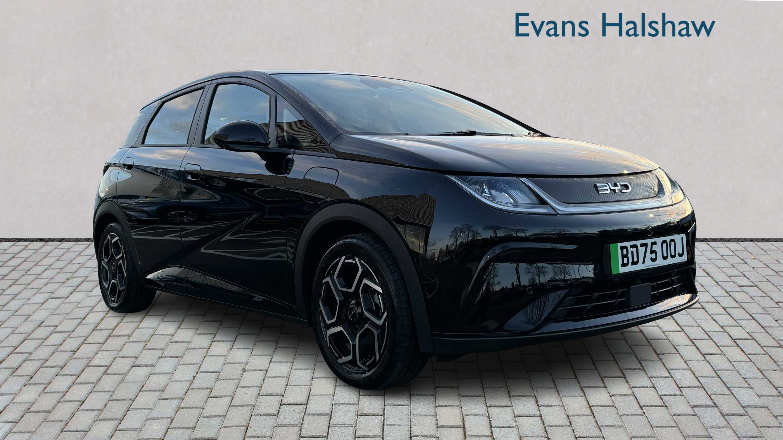 Main listing image - BYD Dolphin