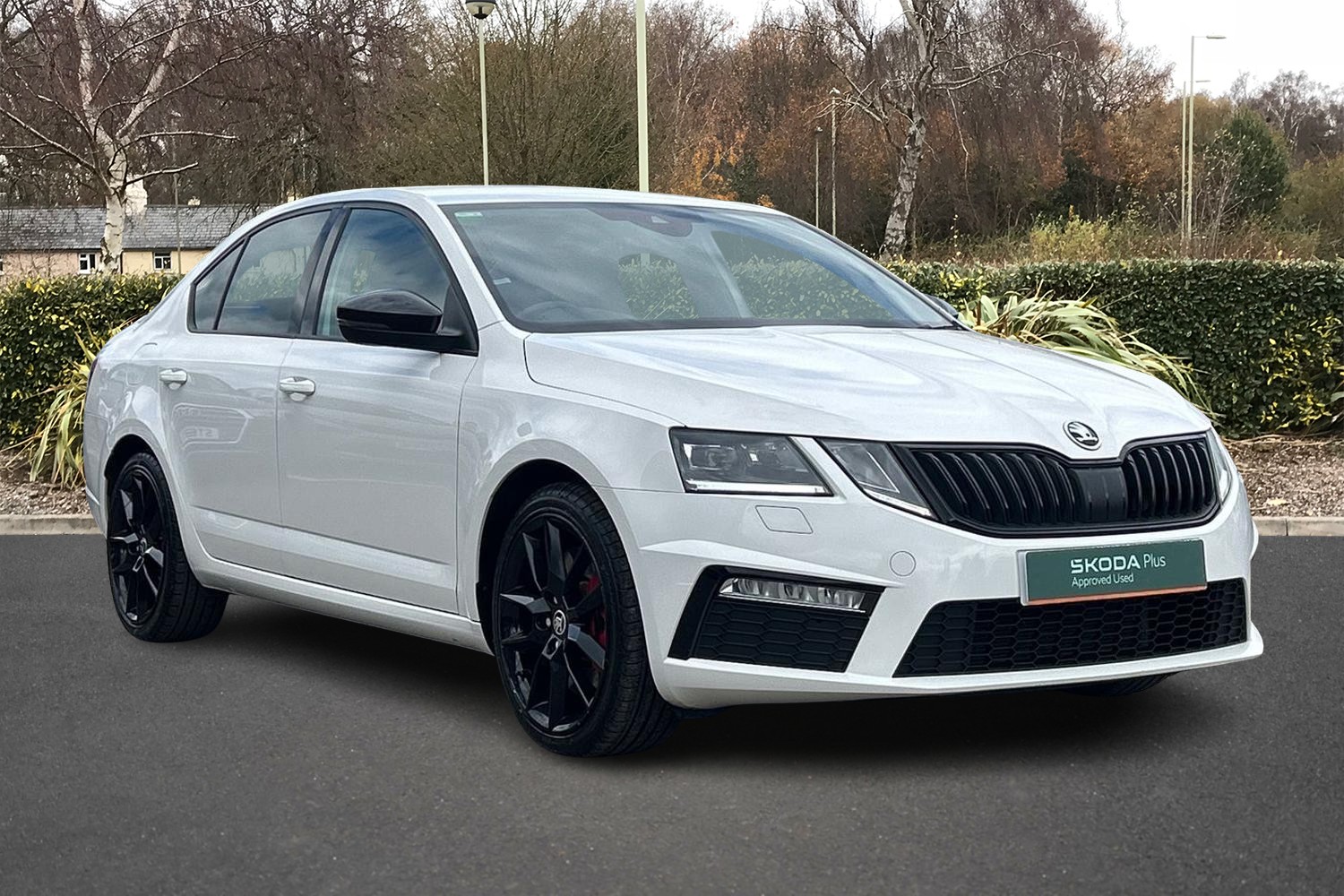 Main listing image - Skoda Octavia vRS