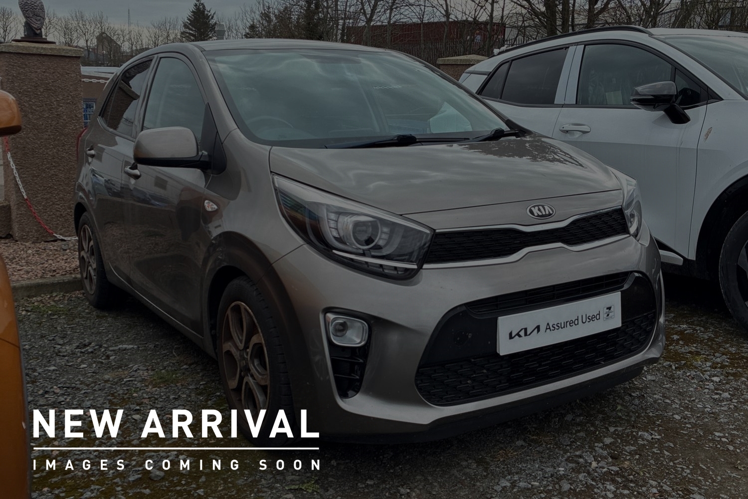 Main listing image - Kia Picanto