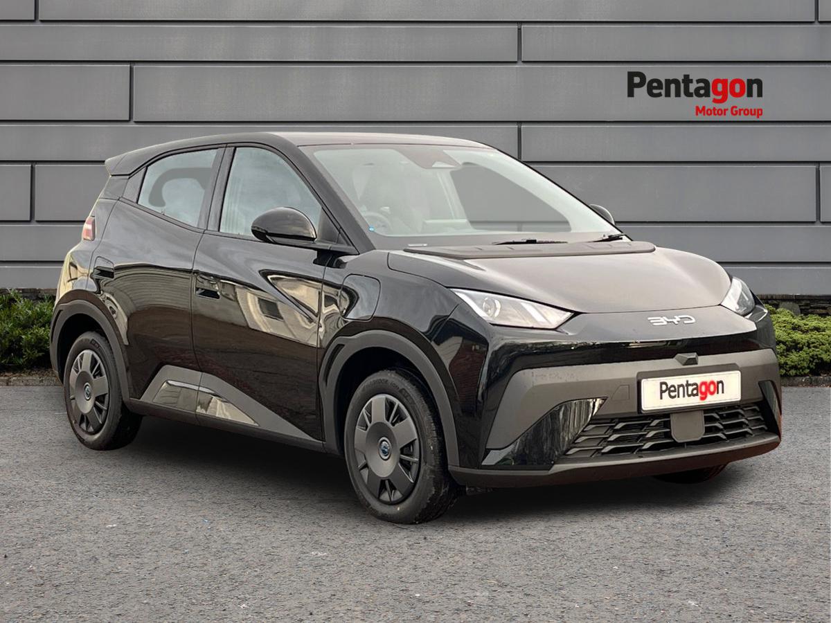 Main listing image - BYD Dolphin Surf