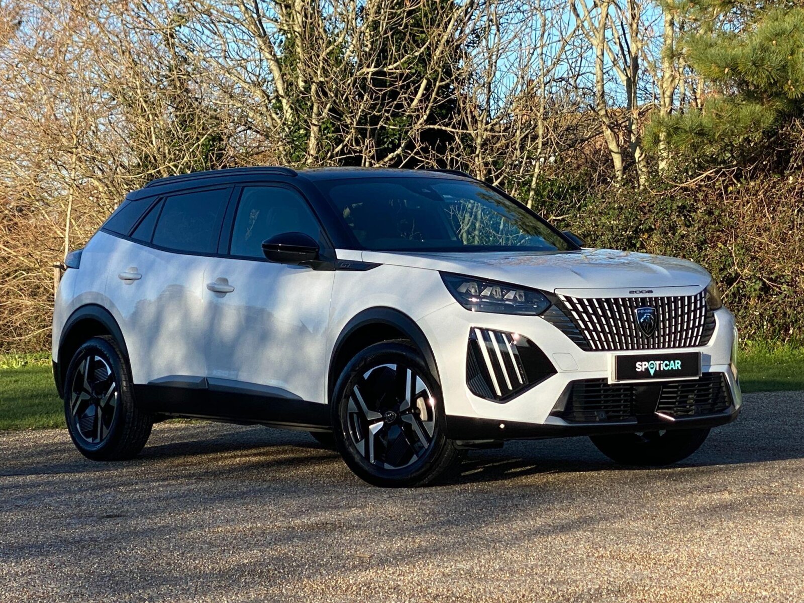 Main listing image - Peugeot 2008