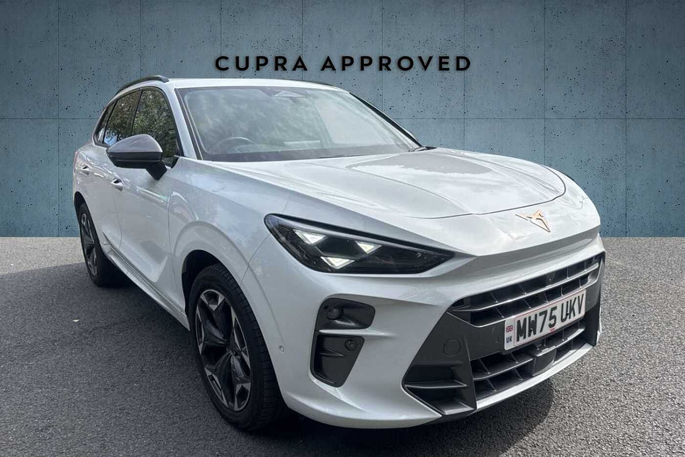 Main listing image - Cupra Terramar