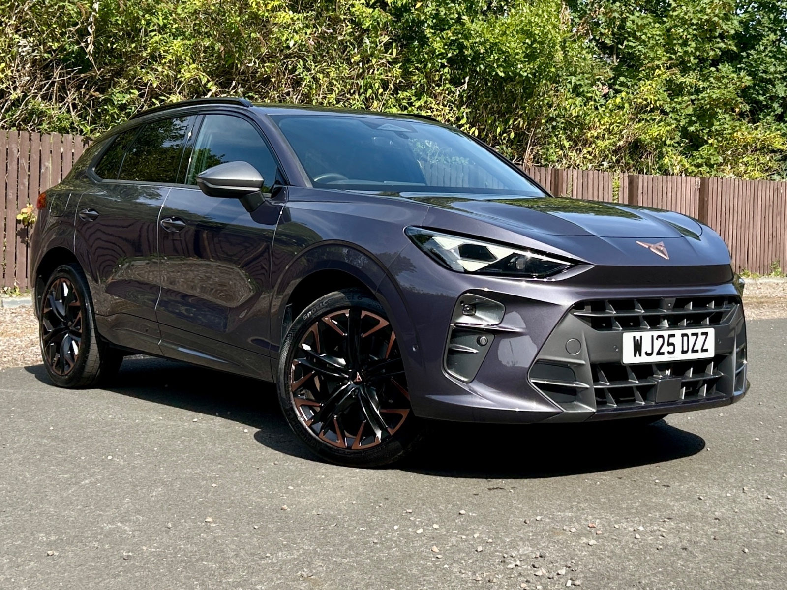 Main listing image - Cupra Terramar
