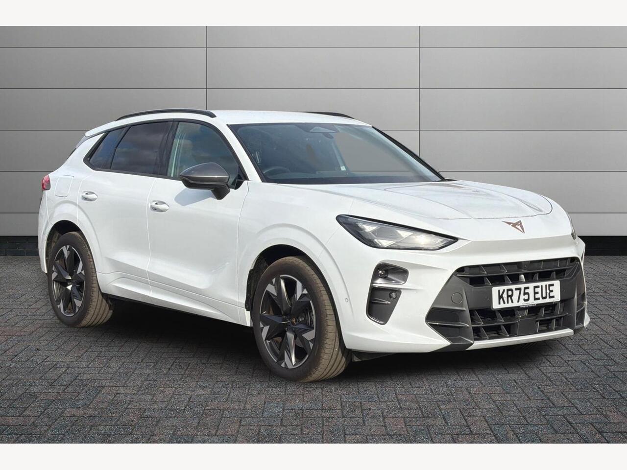 Main listing image - Cupra Terramar