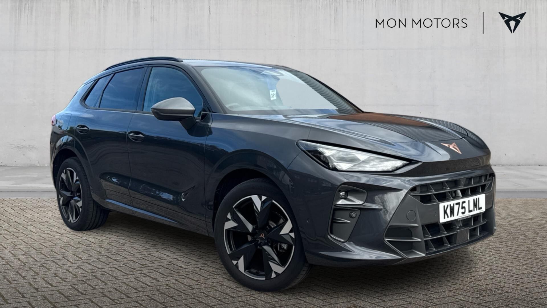 Main listing image - Cupra Terramar