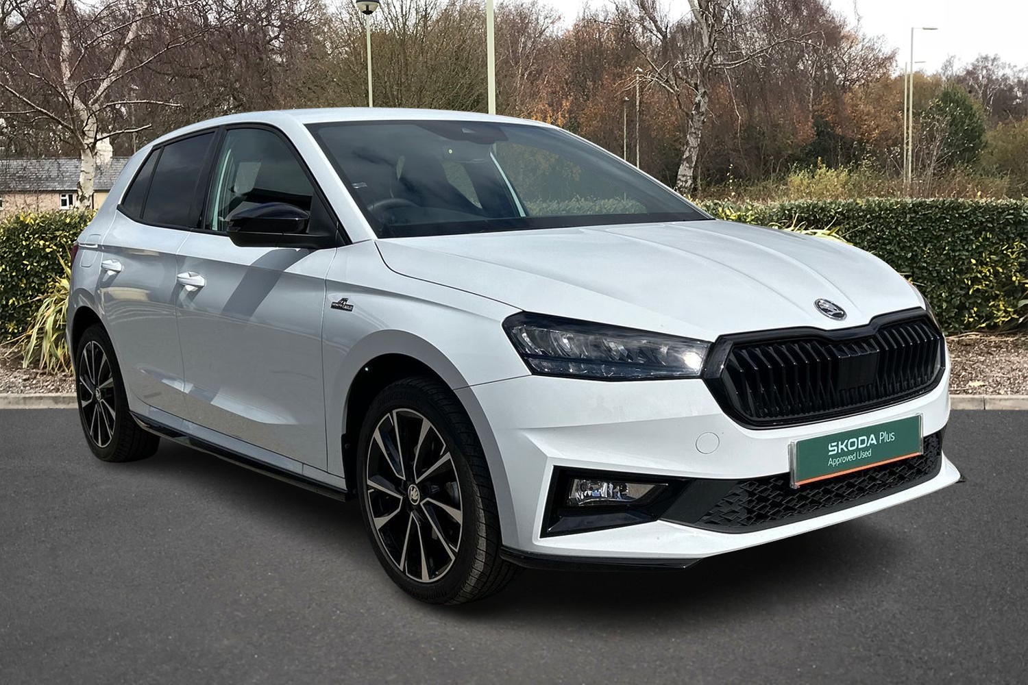 Main listing image - Skoda Fabia