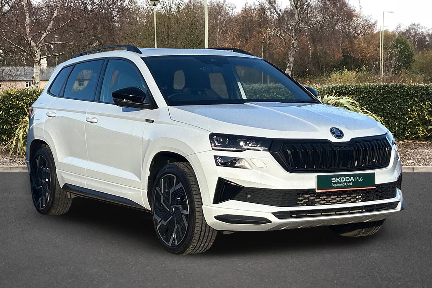 Main listing image - Skoda Karoq