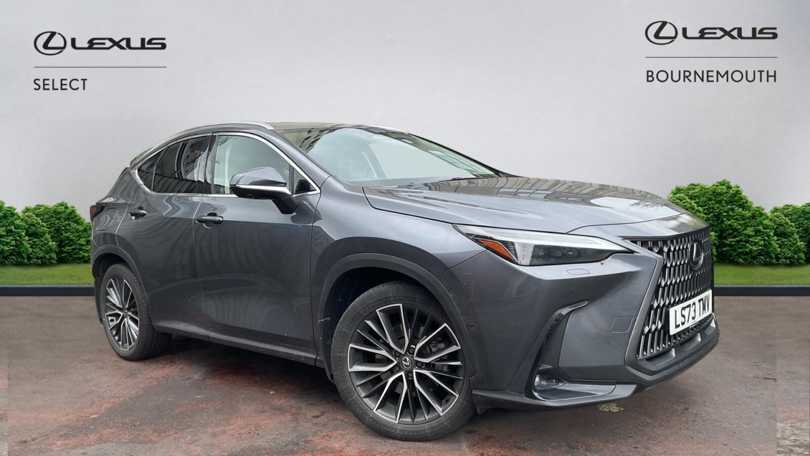 Main listing image - Lexus NX