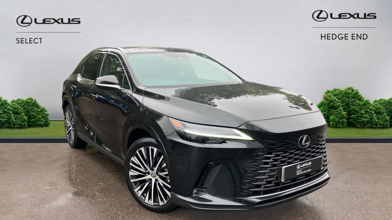 Main listing image - Lexus RX