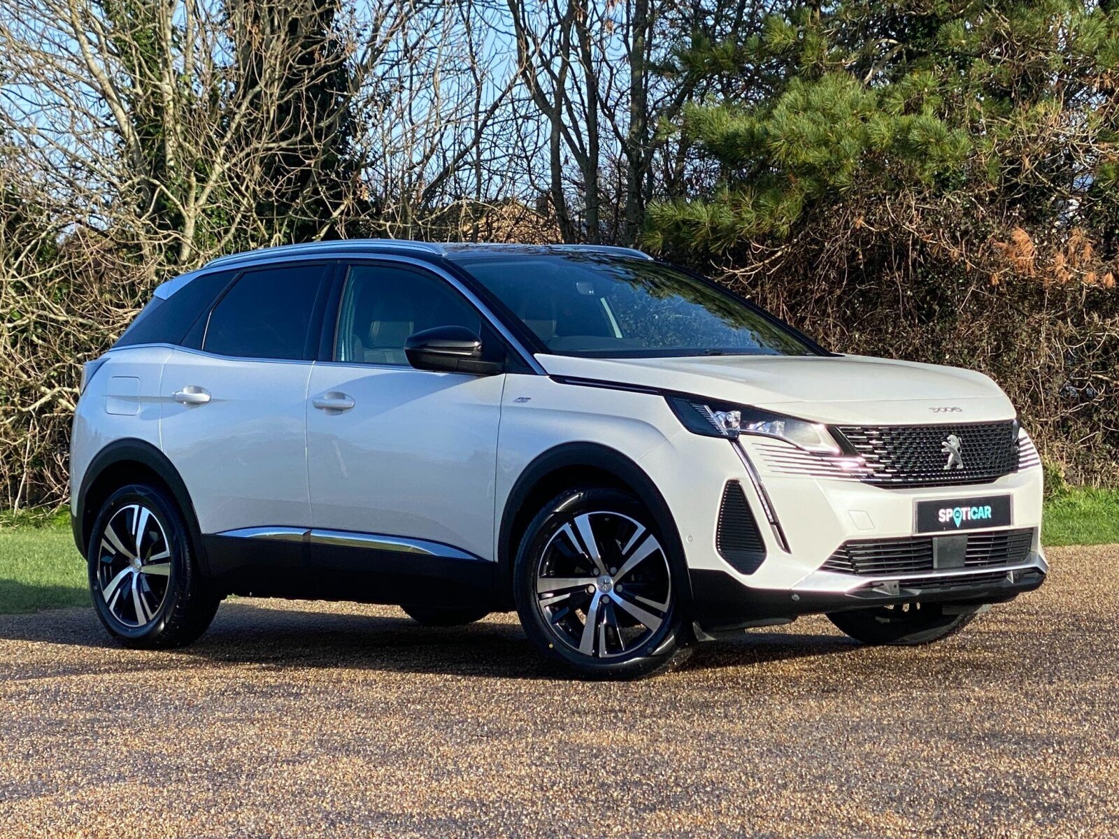 Main listing image - Peugeot 3008