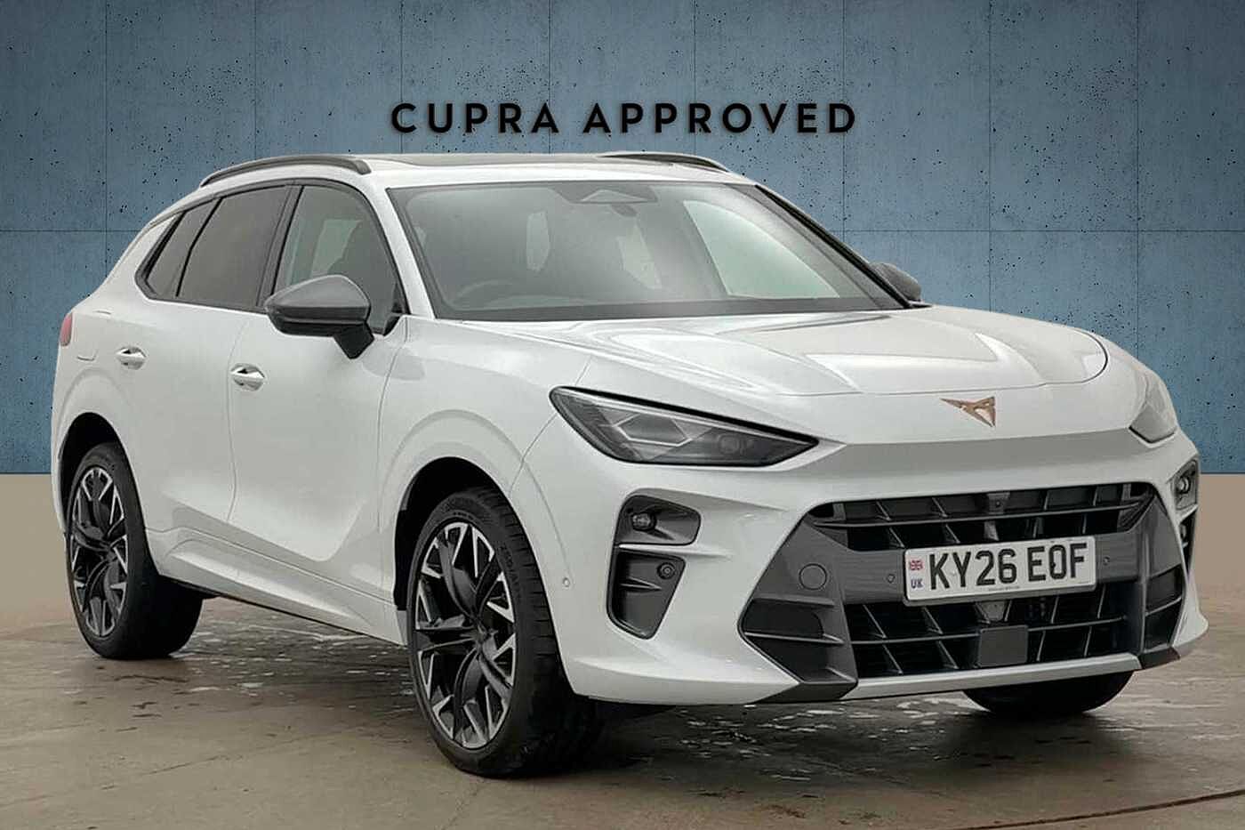 Main listing image - Cupra Terramar