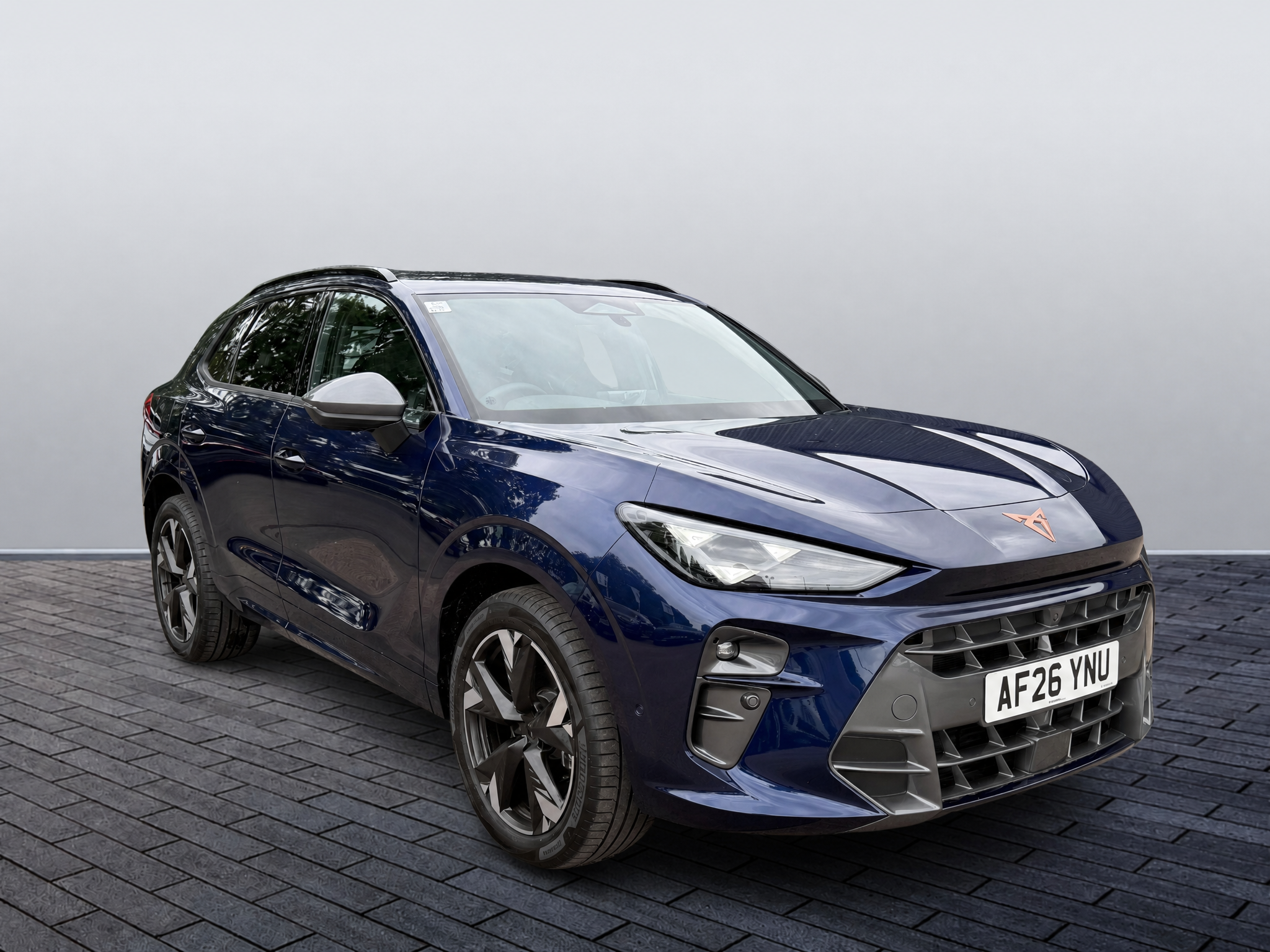Main listing image - Cupra Terramar