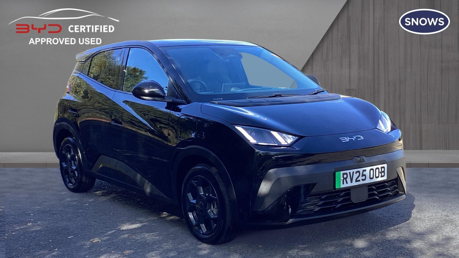 Main listing image - BYD Dolphin Surf