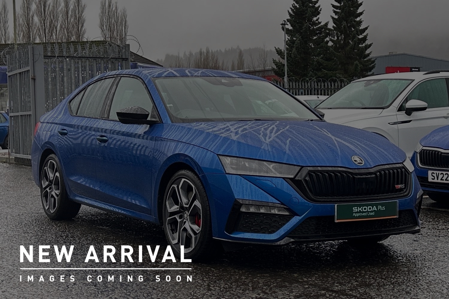 Main listing image - Skoda Octavia vRS