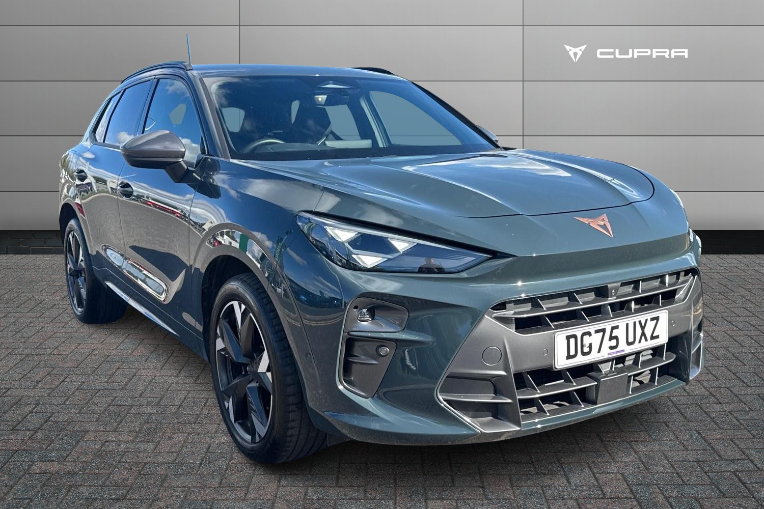 Main listing image - Cupra Terramar
