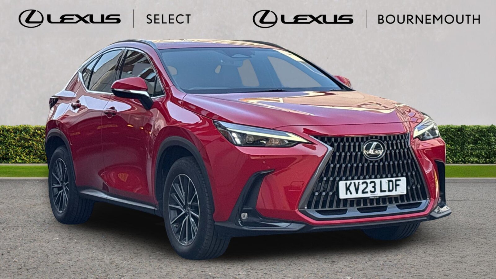 Main listing image - Lexus NX