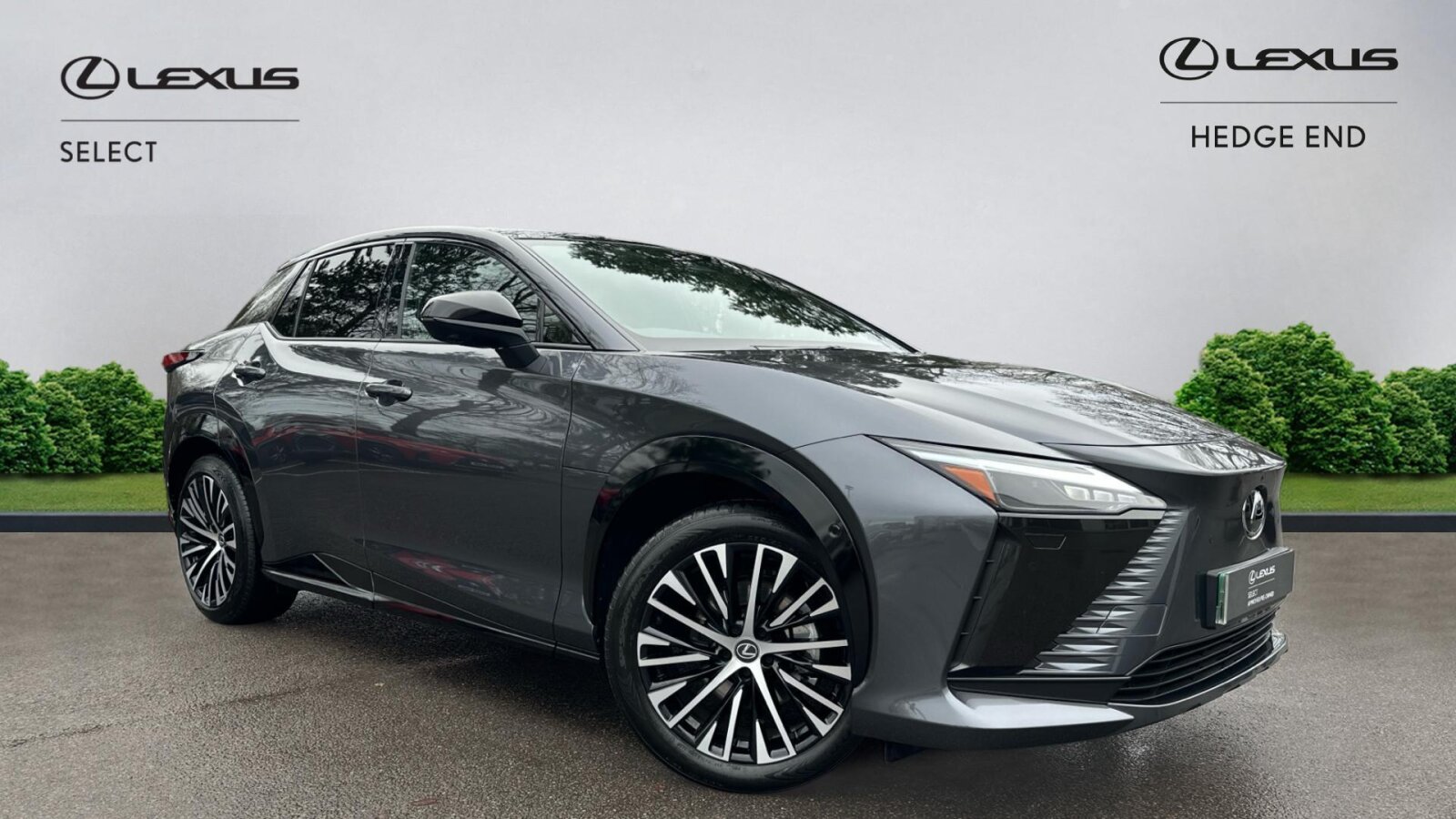 Main listing image - Lexus RZ