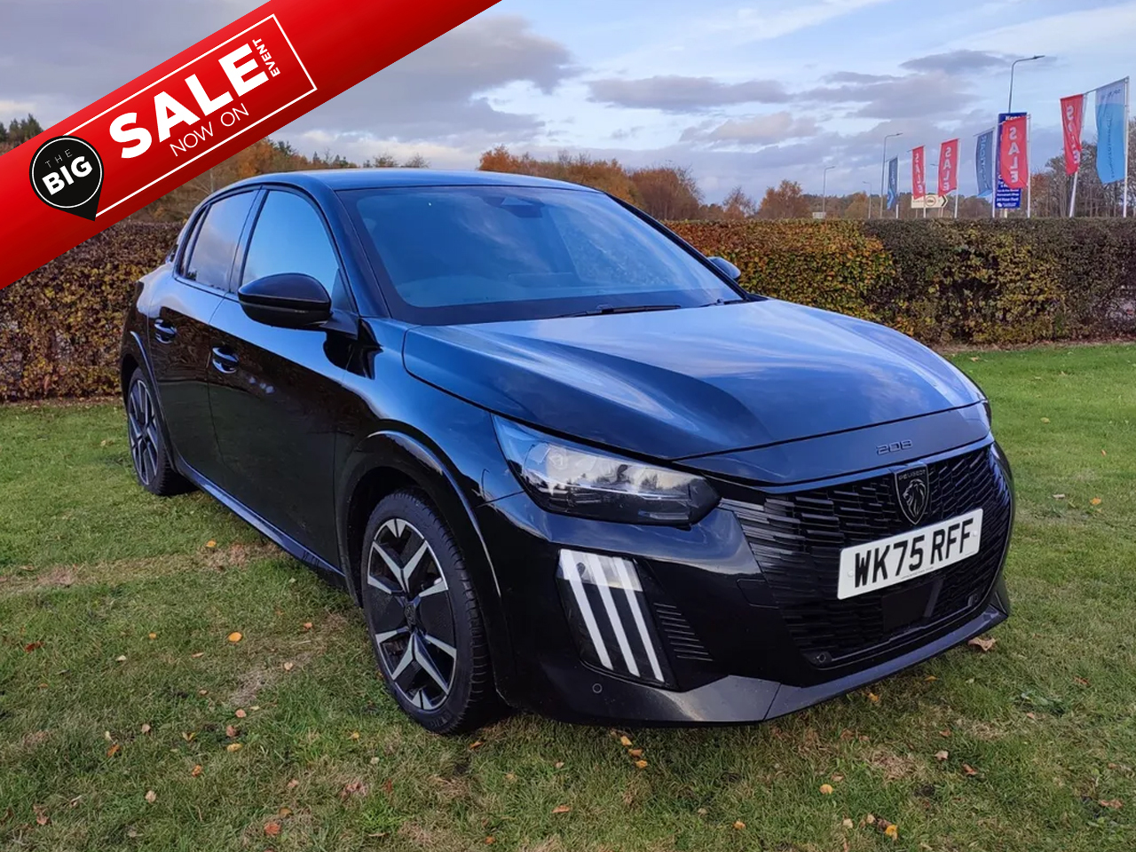 Main listing image - Peugeot 208