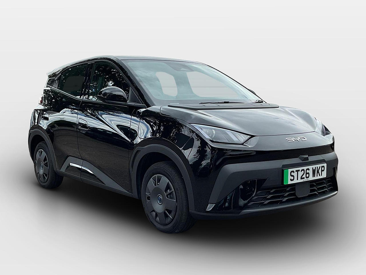 Main listing image - BYD Dolphin Surf