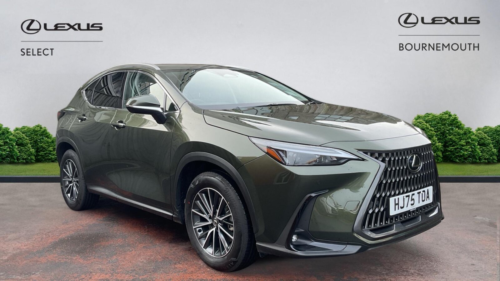 Main listing image - Lexus NX