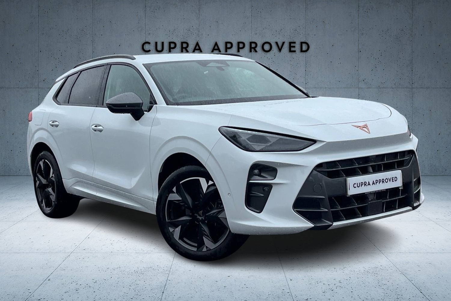 Main listing image - Cupra Terramar