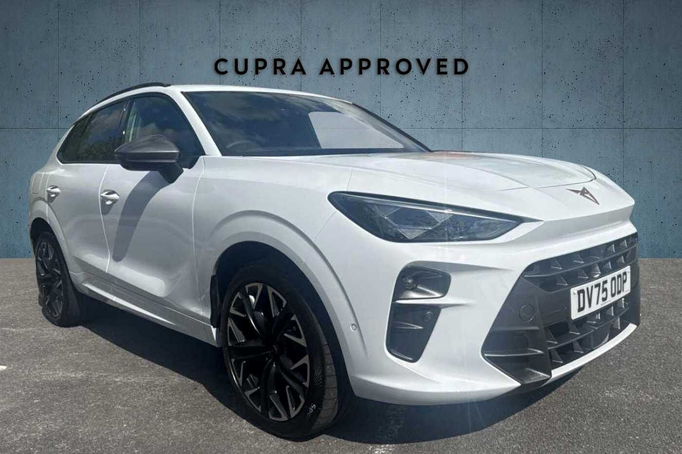 Main listing image - Cupra Terramar