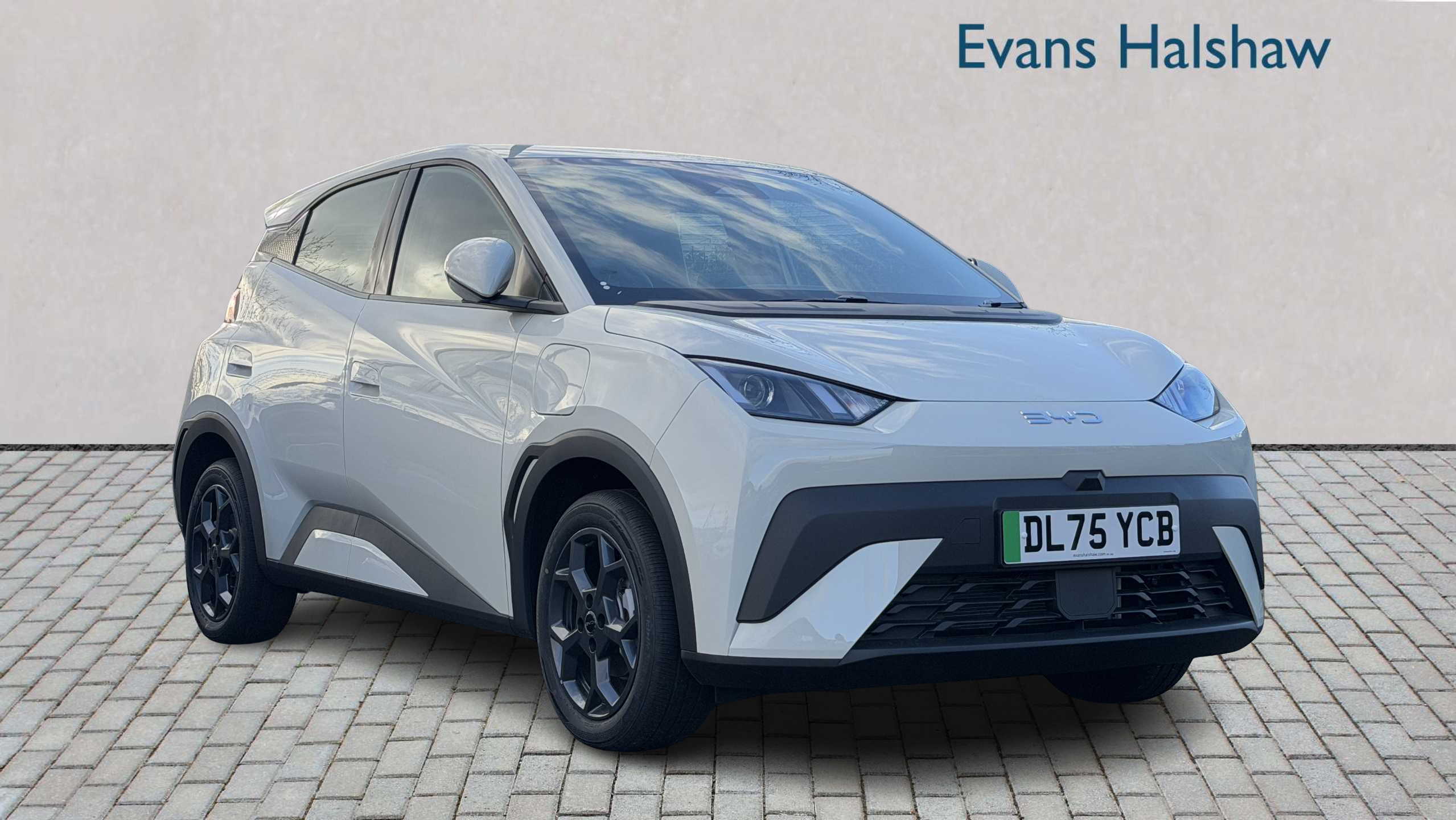 Main listing image - BYD Dolphin Surf