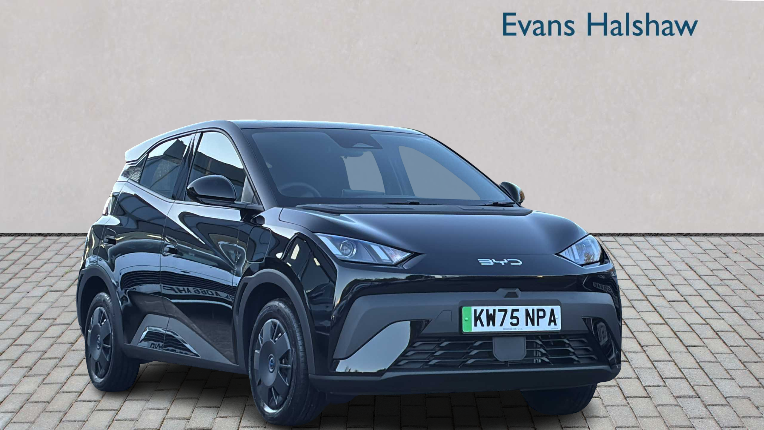 Main listing image - BYD Dolphin Surf