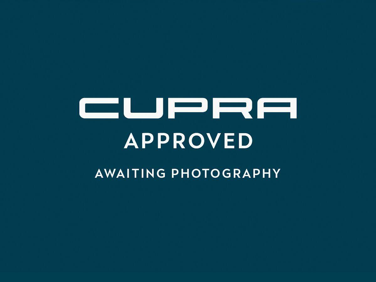 Main listing image - Cupra Terramar