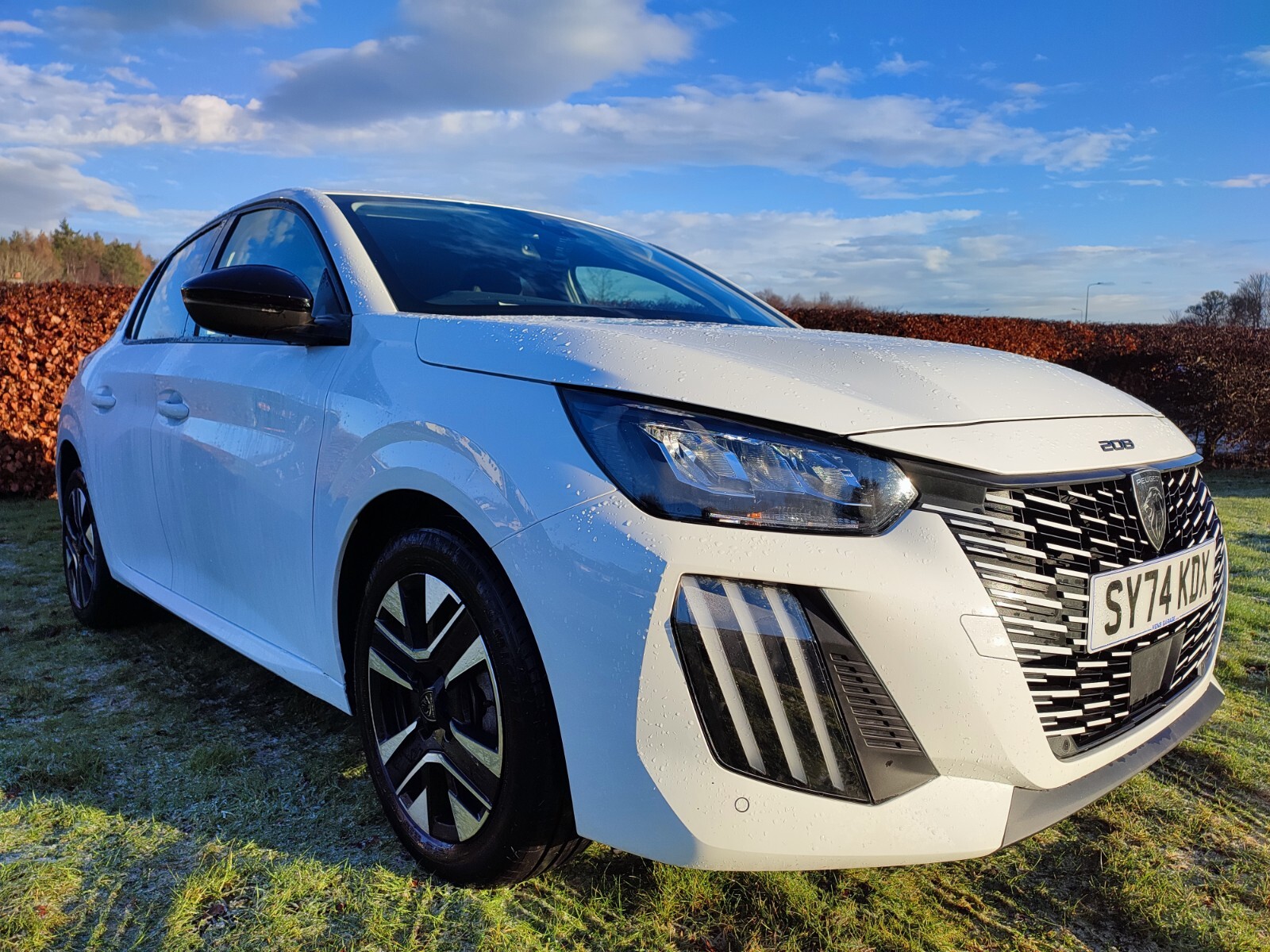 Main listing image - Peugeot 208