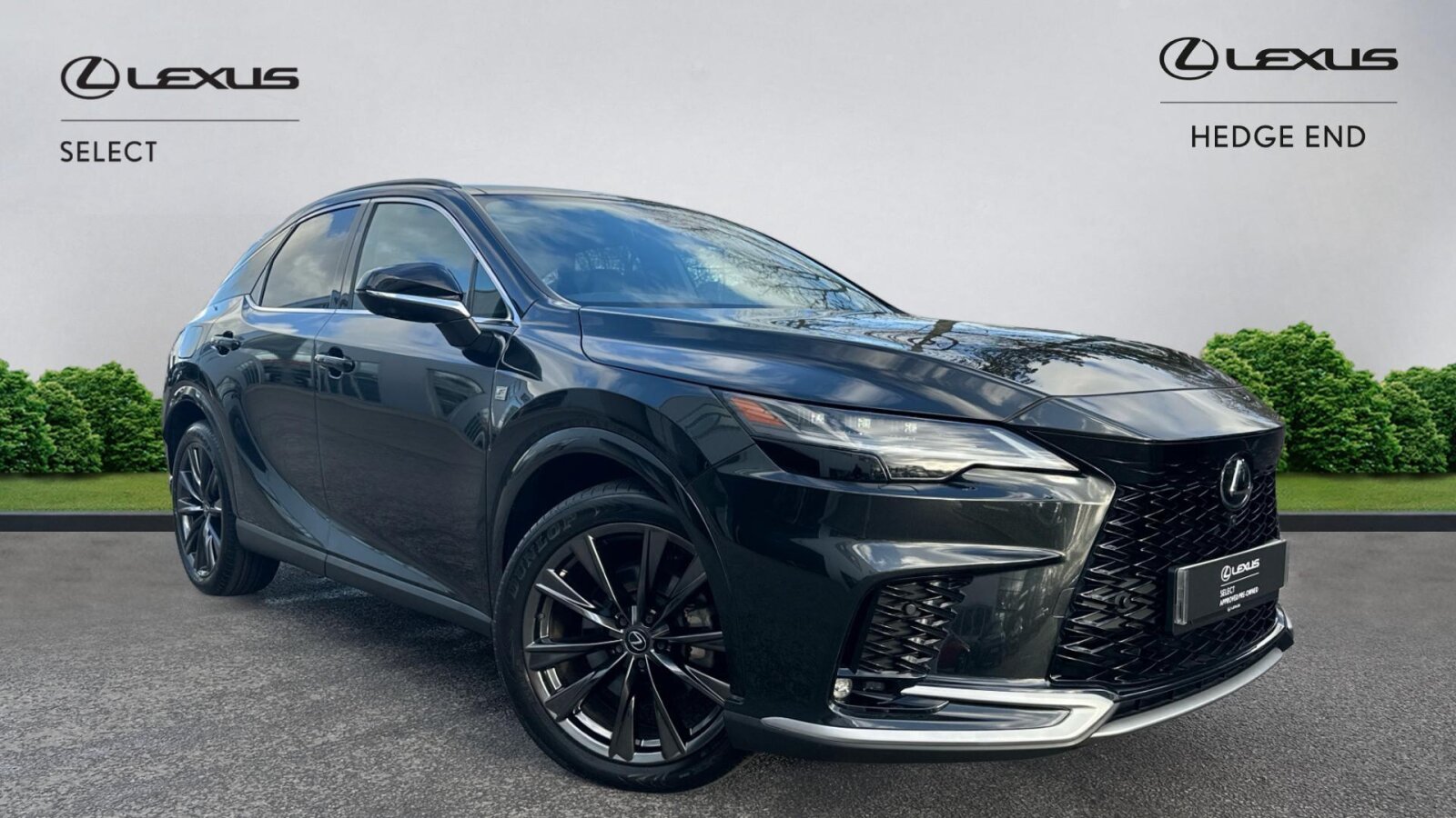 Main listing image - Lexus RX