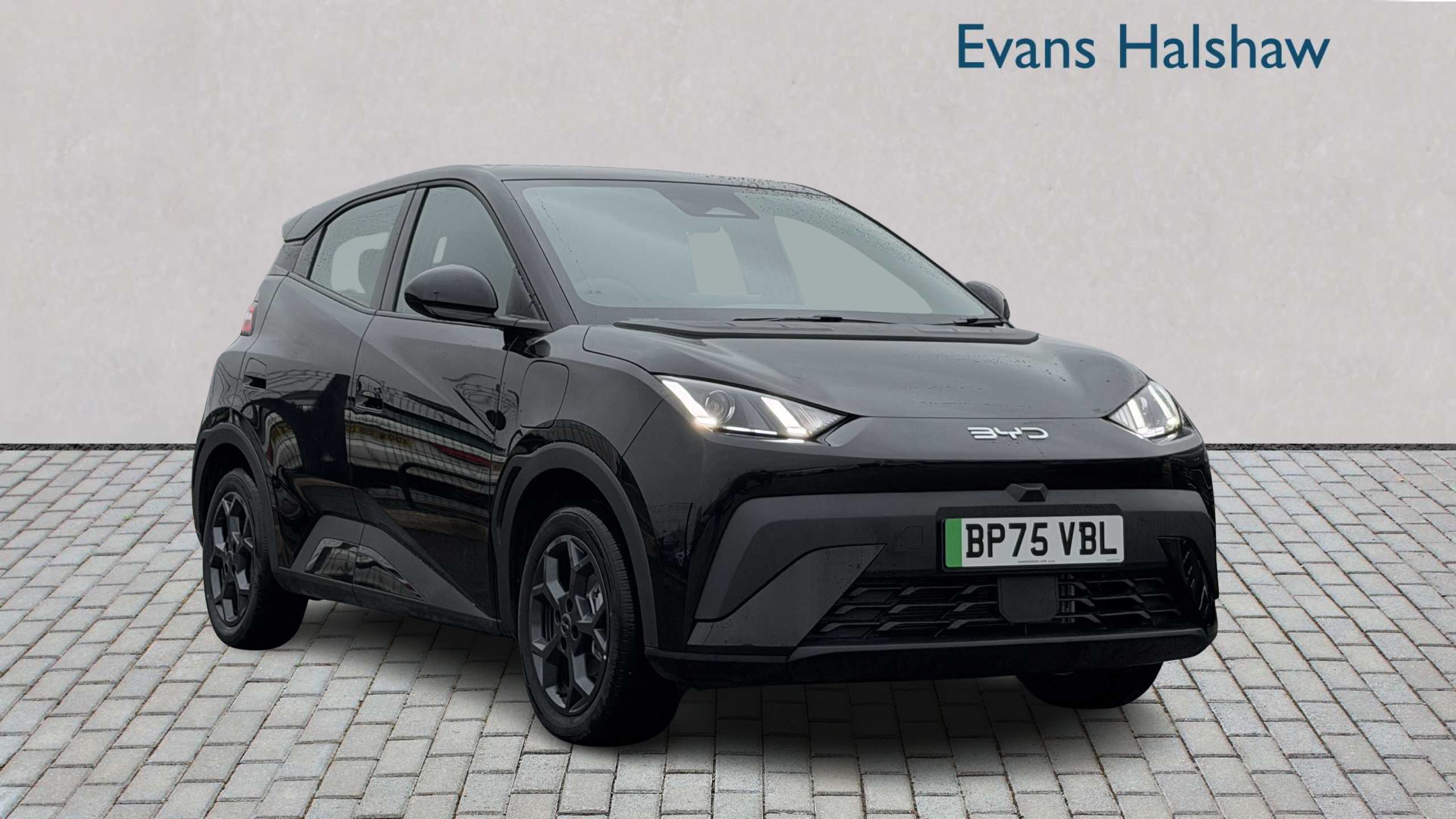 Main listing image - BYD Dolphin Surf