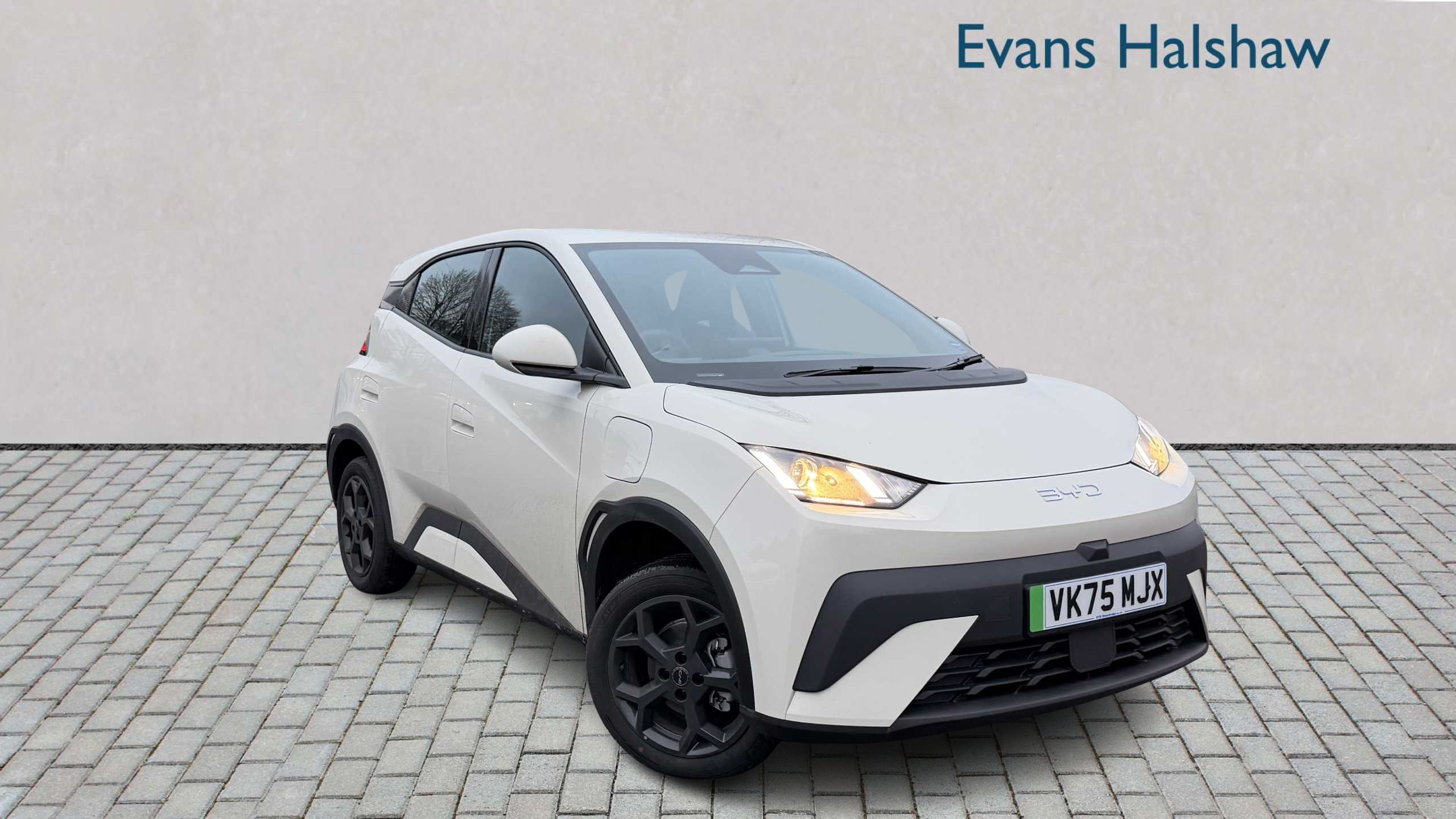 Main listing image - BYD Dolphin Surf