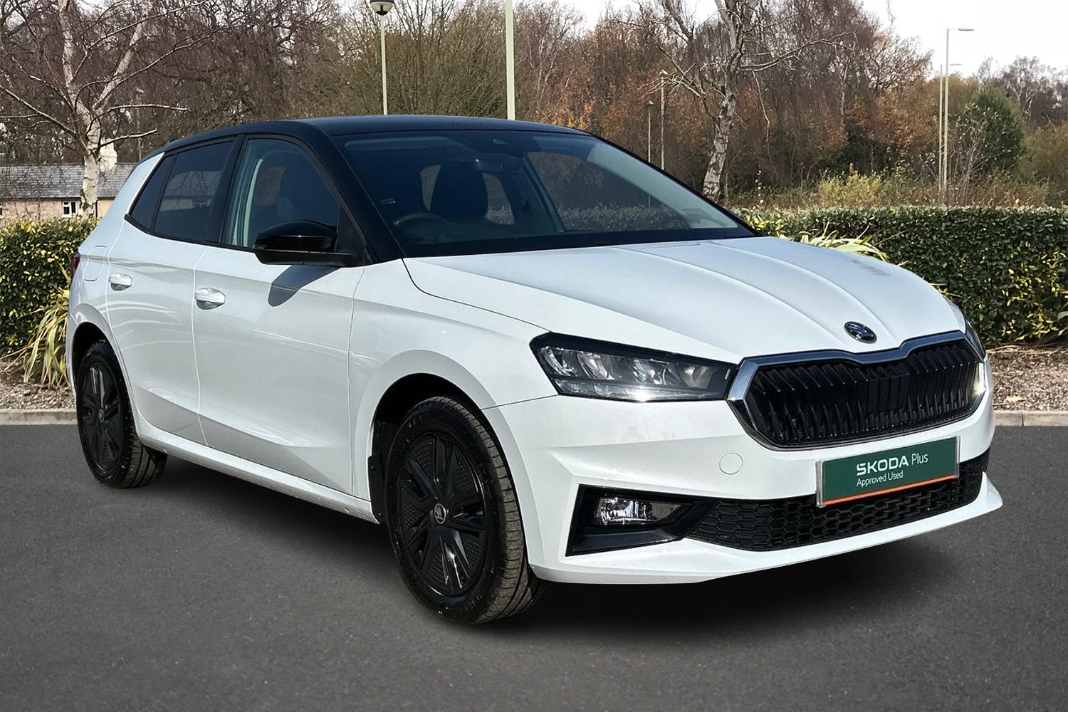 Main listing image - Skoda Fabia