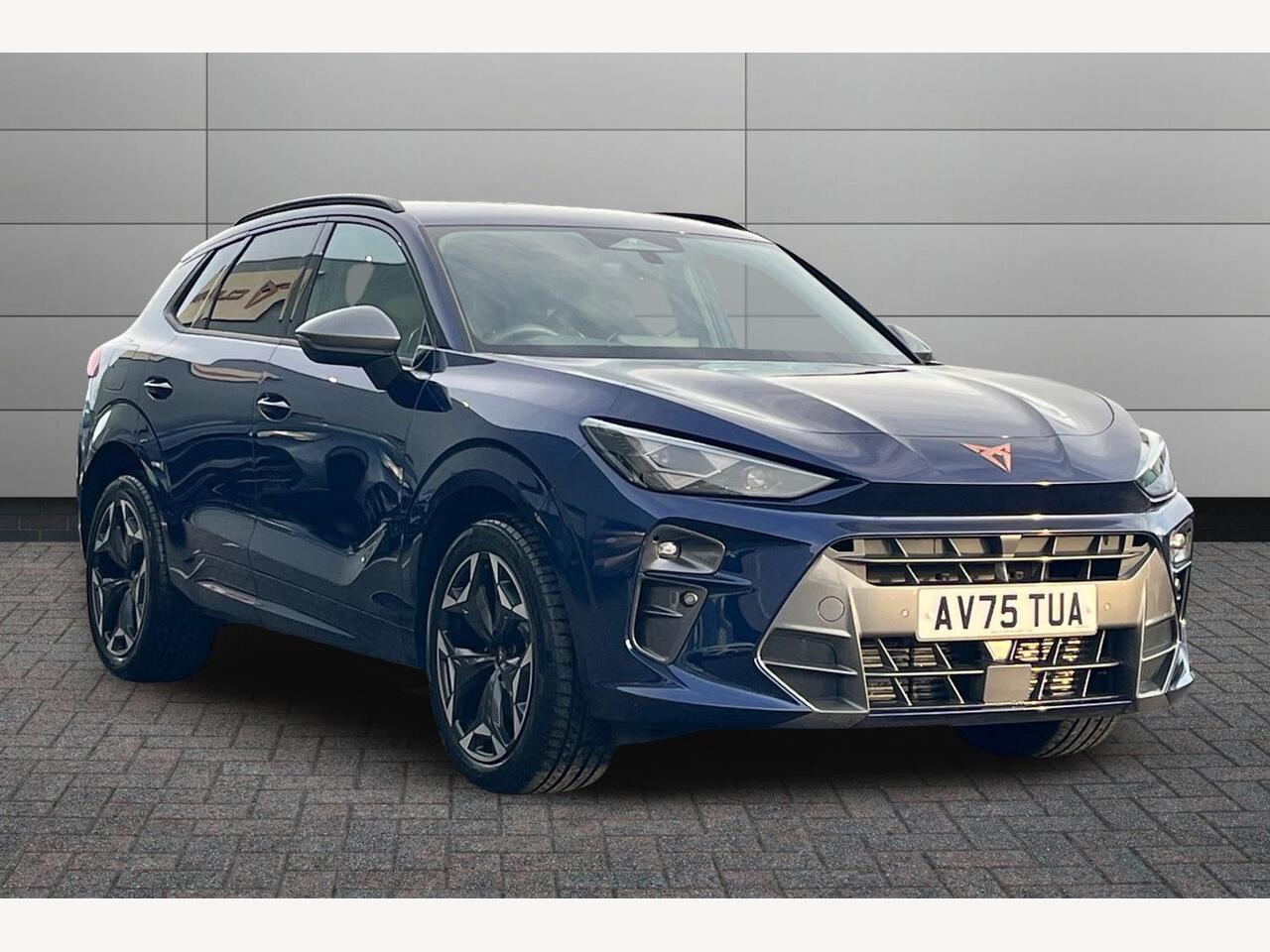 Main listing image - Cupra Terramar