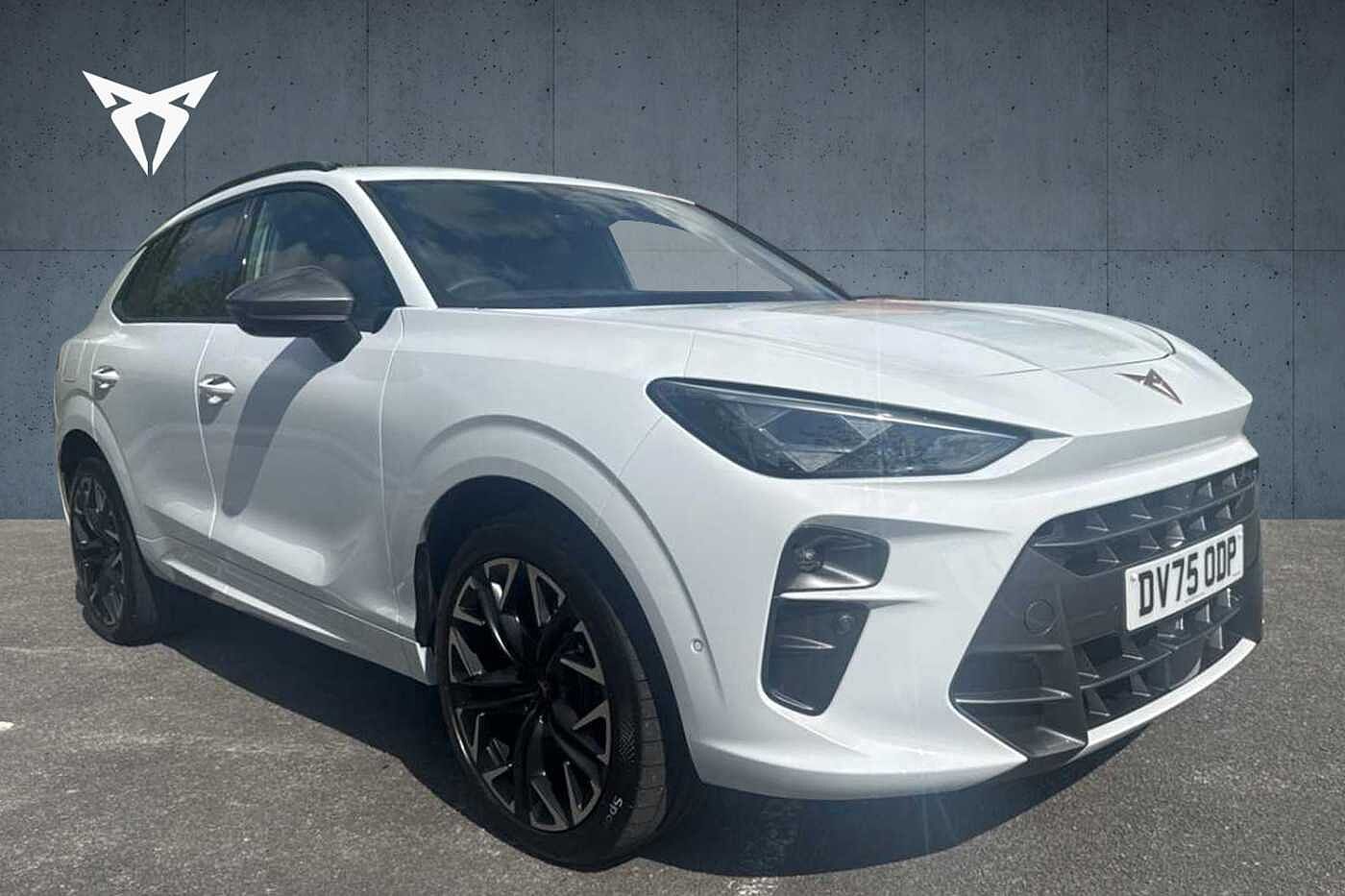 Main listing image - Cupra Terramar