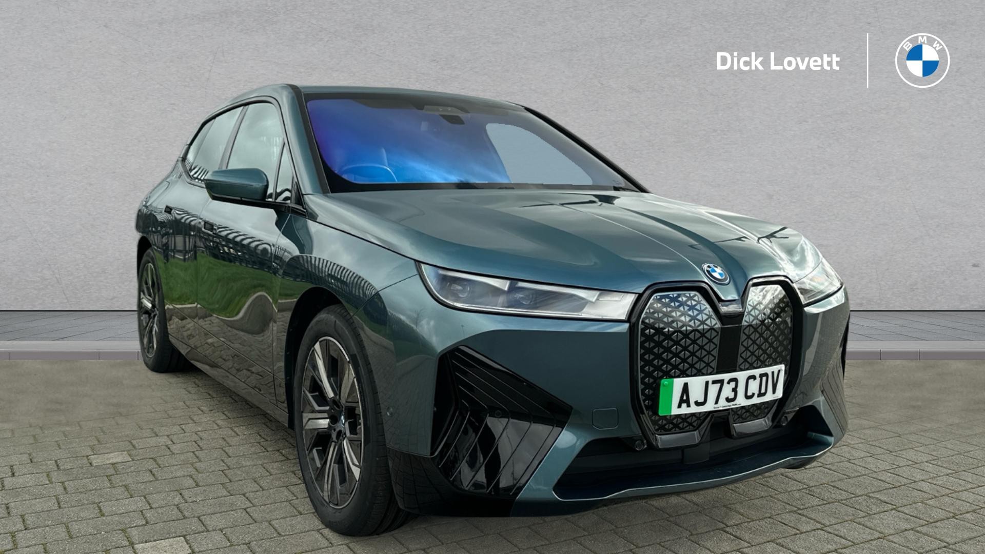 Main listing image - BMW iX