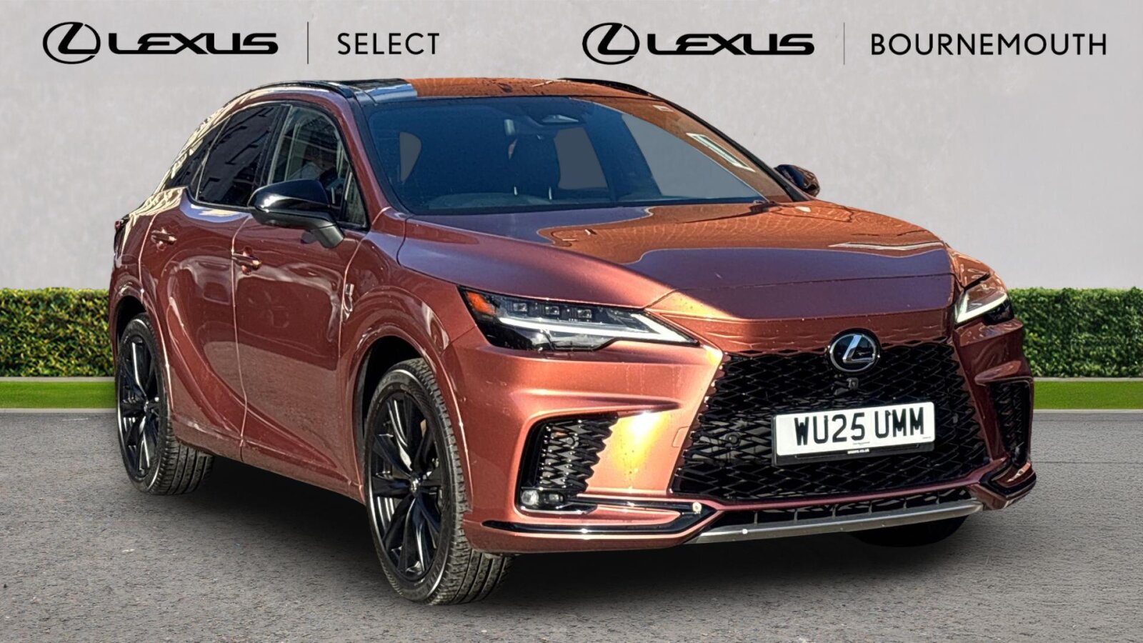 Main listing image - Lexus RX
